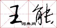 王能怎么寫好看