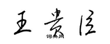 梁錦英王貴臣草書個性簽名怎么寫