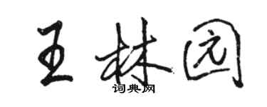 駱恆光王林園行書個性簽名怎么寫