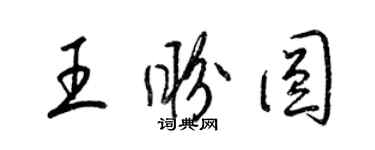 梁錦英王盼圓草書個性簽名怎么寫