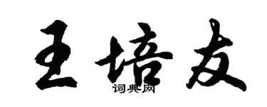 胡問遂王培友行書個性簽名怎么寫