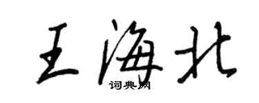 王正良王海北行書個性簽名怎么寫