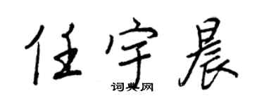 王正良任宇晨行書個性簽名怎么寫
