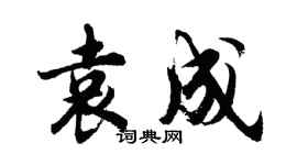 胡問遂袁成行書個性簽名怎么寫