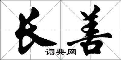 胡問遂長善行書怎么寫