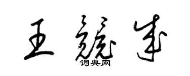 梁錦英王競成草書個性簽名怎么寫