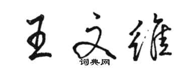 駱恆光王文維行書個性簽名怎么寫