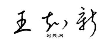 梁錦英王知新草書個性簽名怎么寫