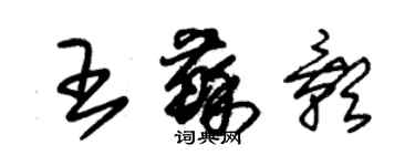 朱錫榮王蘇影草書個性簽名怎么寫