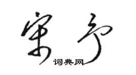 駱恆光宋予草書個性簽名怎么寫