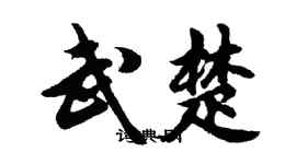 胡問遂武楚行書個性簽名怎么寫