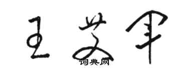 駱恆光王艾軍草書個性簽名怎么寫