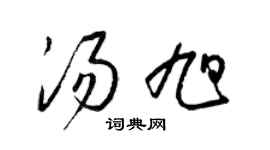 梁錦英湯旭草書個性簽名怎么寫