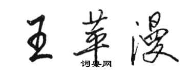 駱恆光王苹漫行書個性簽名怎么寫