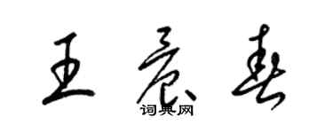 梁錦英王晨春草書個性簽名怎么寫