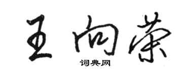 駱恆光王向榮行書個性簽名怎么寫