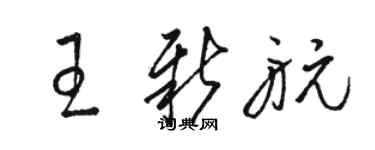 駱恆光王新航草書個性簽名怎么寫