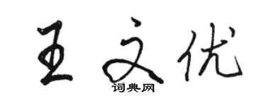 駱恆光王文優行書個性簽名怎么寫