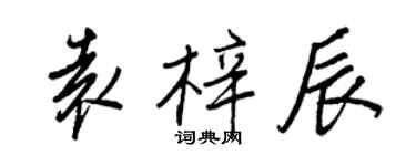 王正良袁梓辰行書個性簽名怎么寫