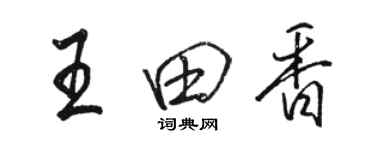 駱恆光王田香行書個性簽名怎么寫