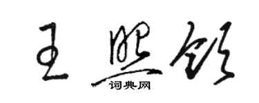 駱恆光王照領草書個性簽名怎么寫