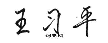 駱恆光王習平行書個性簽名怎么寫