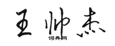 駱恆光王帥傑行書個性簽名怎么寫