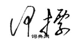 駱恆光何標草書個性簽名怎么寫