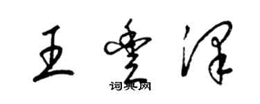 梁錦英王豐澤草書個性簽名怎么寫