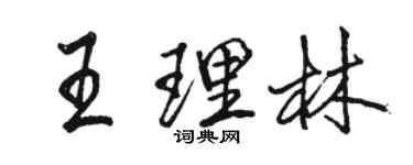駱恆光王理林行書個性簽名怎么寫