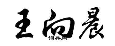 胡問遂王向晨行書個性簽名怎么寫