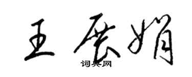 梁錦英王展娟草書個性簽名怎么寫