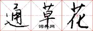 錢沛雲通草花行書怎么寫