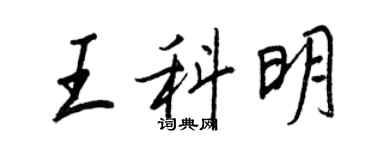 王正良王科明行書個性簽名怎么寫