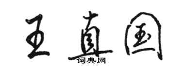 駱恆光王直國行書個性簽名怎么寫