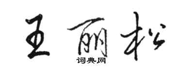 駱恆光王麗松行書個性簽名怎么寫