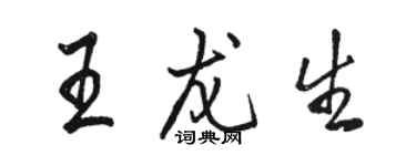 駱恆光王龍生行書個性簽名怎么寫