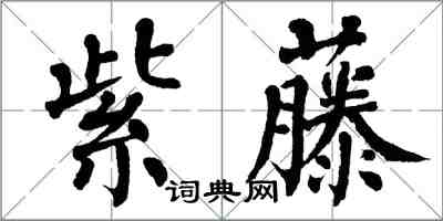 翁闓運紫藤楷書怎么寫