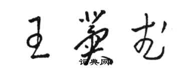 駱恆光王冀武草書個性簽名怎么寫