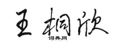 駱恆光王桐欣行書個性簽名怎么寫