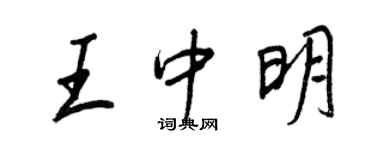 王正良王中明行書個性簽名怎么寫