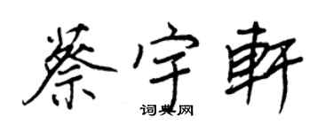 王正良蔡宇軒行書個性簽名怎么寫