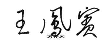 駱恆光王鳳賓草書個性簽名怎么寫