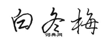 駱恆光白冬梅行書個性簽名怎么寫