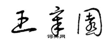曾慶福王章園草書個性簽名怎么寫