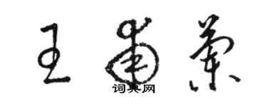 駱恆光王甫蘭草書個性簽名怎么寫