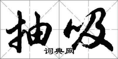 胡問遂抽吸行書怎么寫