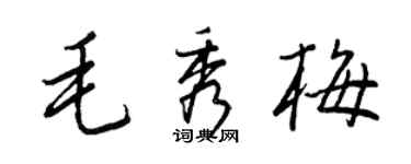 王正良毛秀梅行書個性簽名怎么寫