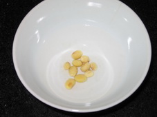 種植黃豆芽_種植黃豆芽作文