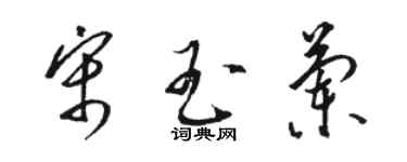 駱恆光宋玉蘭草書個性簽名怎么寫